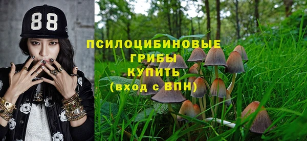 гидра Алексеевка