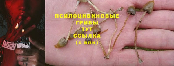 гашик Аркадак