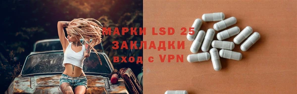гашик Аркадак