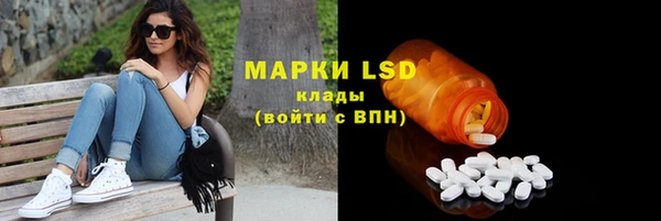 гидра Алексеевка