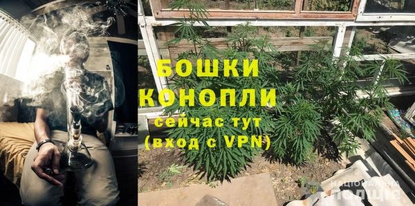 экстази Арсеньев