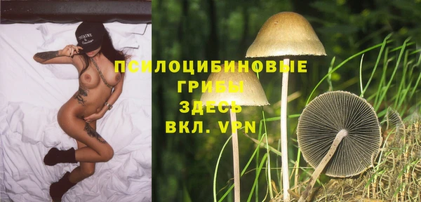 гидра Алексеевка
