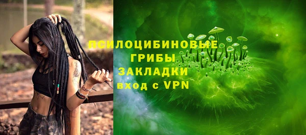 экстази Арсеньев