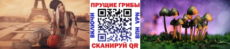 Купить Весьегонск Галлюциногенные грибы мухоморы